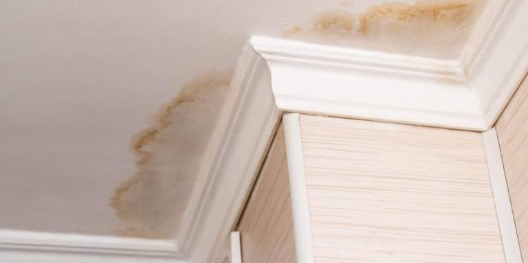 Ceiling Leaks