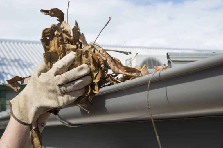 How Often Should You Clean Gutters
