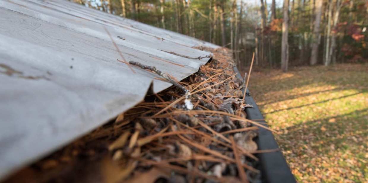 When Is The Best Time to Clean Your Gutters