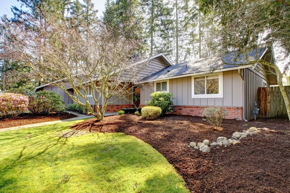 Service Areas Photo 2